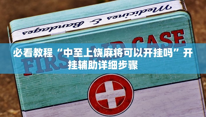 必看教程“打两圈麻将辅助外挂”开挂辅助详细步骤