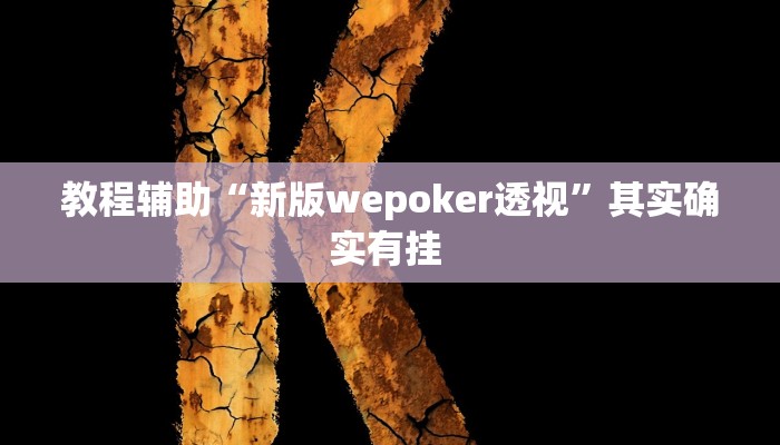 教程辅助“新版wepoker透视”其实确实有挂 
