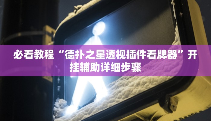 必看教程“八闽十三张透视挂”(详细开挂教程)