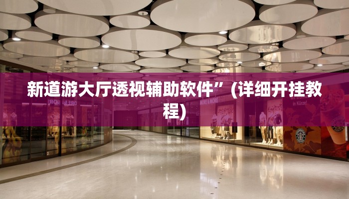 新道游大厅透视辅助软件”(详细开挂教程) 新道游大厅透视辅助软件”(详细开挂教程)