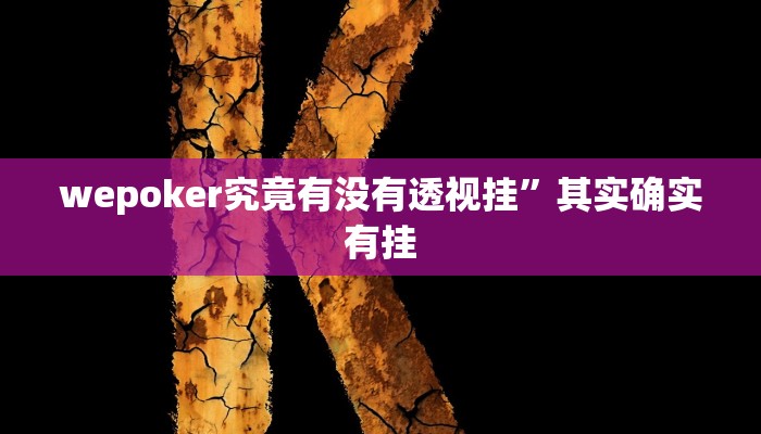 wepoker究竟有没有透视挂”其实确实有挂