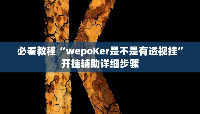 必看教程“wepoker作弊透视脚本”开挂辅助详细步骤 必看教程“wepoker作弊透视脚本”开挂辅助详细步骤