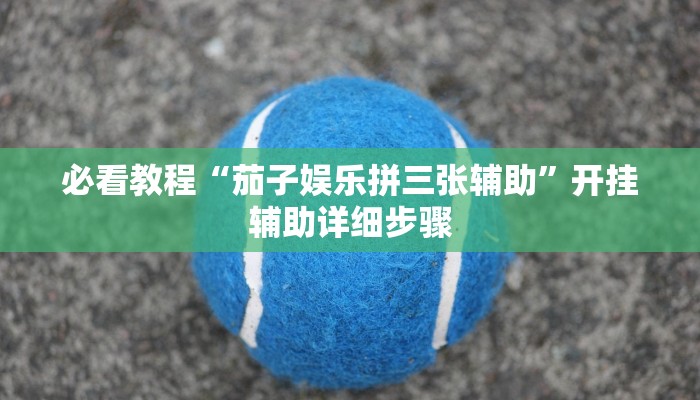 必看教程“茄子娱乐拼三张辅助”开挂辅助详细步骤 必看教程“茄子娱乐拼三张辅助”开挂辅助详细步骤