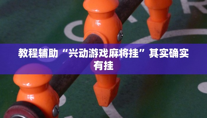 教程辅助“兴动游戏麻将挂”其实确实有挂 教程辅助“兴动游戏麻将挂”其实确实有挂