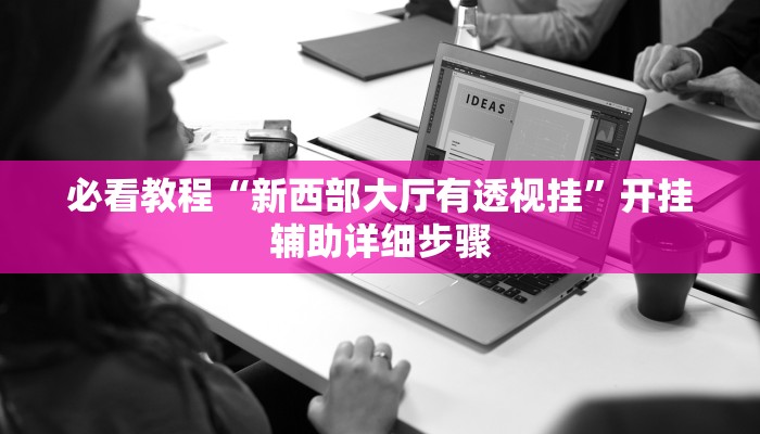 必看教程“新西部大厅有透视挂”开挂辅助详细步骤