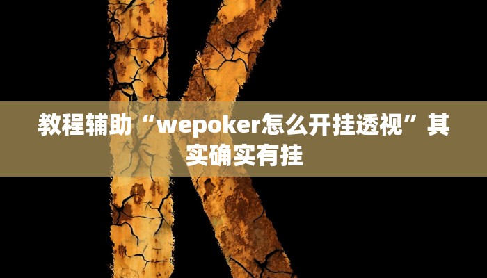 教程辅助“wepoker怎么开挂透视”其实确实有挂