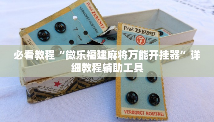 必看教程“微乐福建麻将万能开挂器”详细教程辅助工具 必看教程“微乐福建麻将万能开挂器”详细教程辅助工具