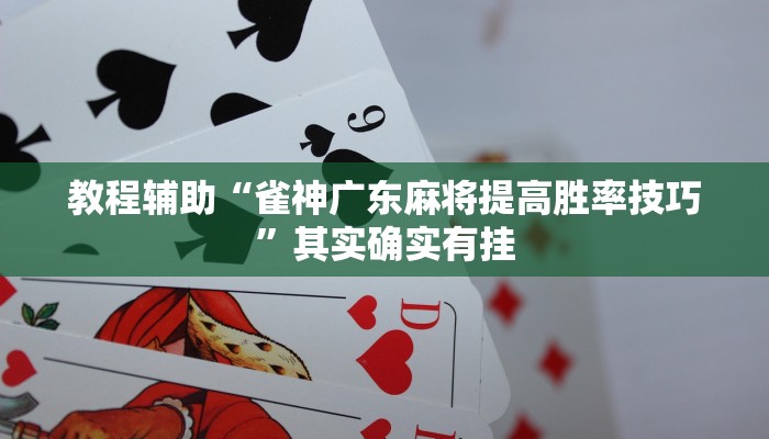 必看教程“hhpoker德州透视挂”其实确实有挂 必看教程“hhpoker德州透视挂”其实确实有挂