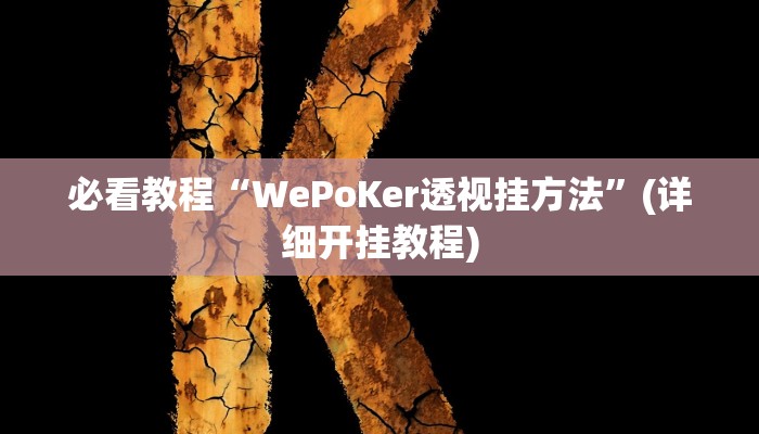 必看教程“WePoKer透视挂方法”(详细开挂教程) 必看教程“WePoKer透视挂方法”(详细开挂教程)
