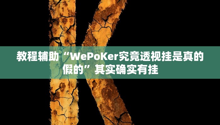 教程辅助“WePoKer究竟透视挂是真的假的”其实确实有挂 教程辅助“WePoKer究竟透视挂是真的假的”其实确实有挂