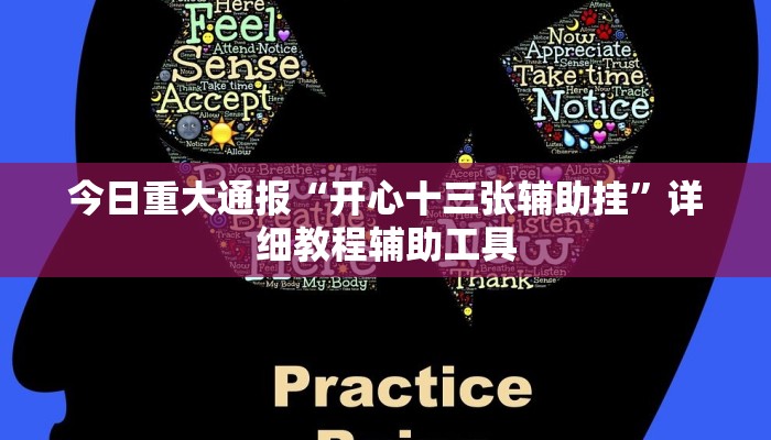 今日重大通报“开心十三张辅助挂”详细教程辅助工具 今日重大通报“开心十三张辅助挂”详细教程辅助工具
